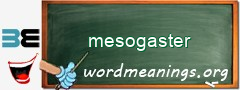 WordMeaning blackboard for mesogaster